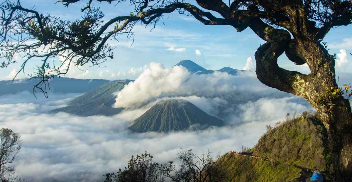 8 Rekomendasi Tempat Wisata Jawa Timur Terbaik, yang Wajib Kamu Kunjungi!
